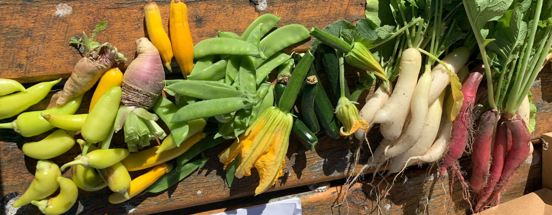 Grow Your Own <span> and create a greener Moonee Valley </span>